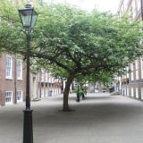 park_small4.jpg